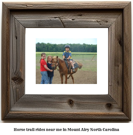 horse trail rides near me in Mount Airy, North Carolina